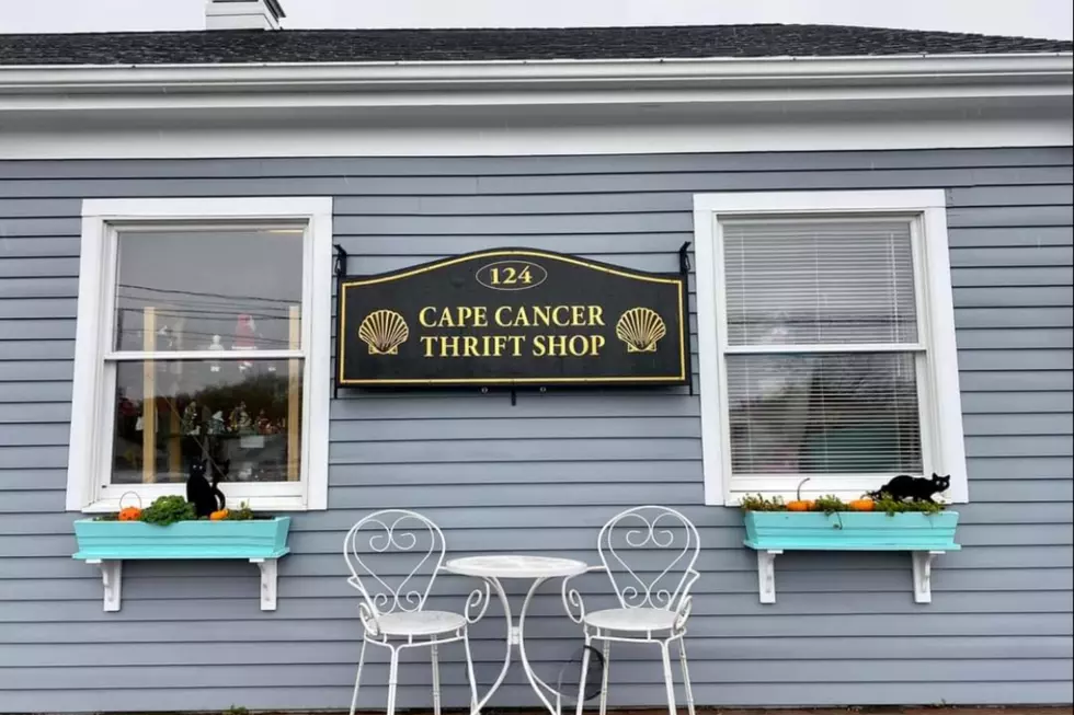 New Location, Same Mission for Cape Cod&#8217;s Cancer Thrift Shop