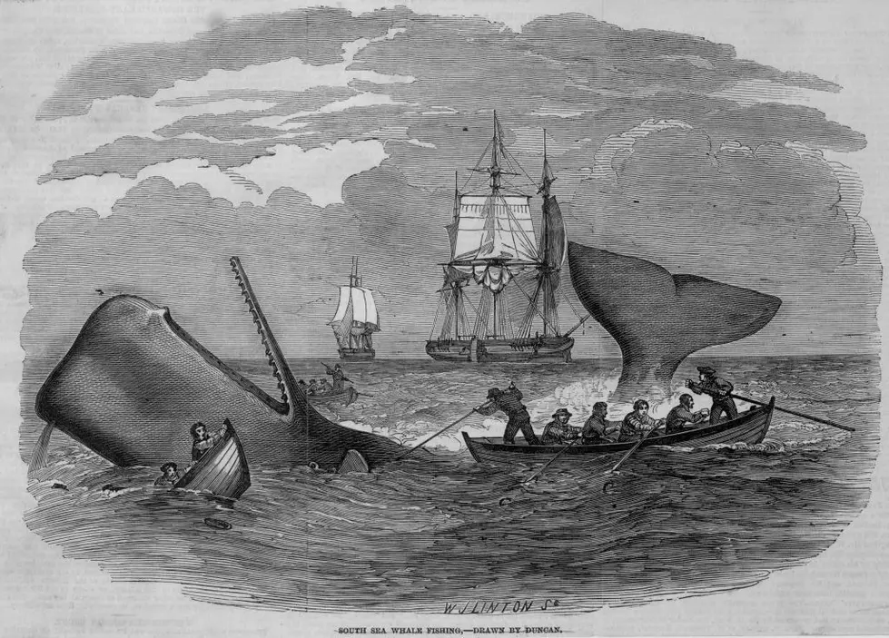 New Bedford’s Whaling Fleet Relied on Wampanoag Harpoon Skills