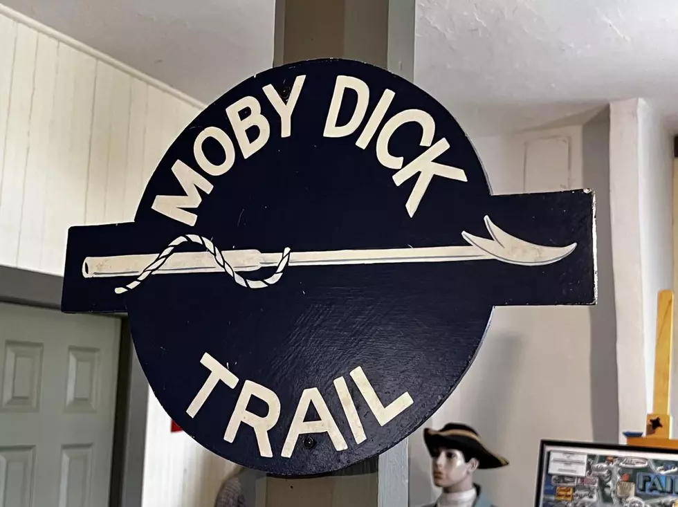Moby Dick Trail Guided Visitors to New Bedford and Fairhaven