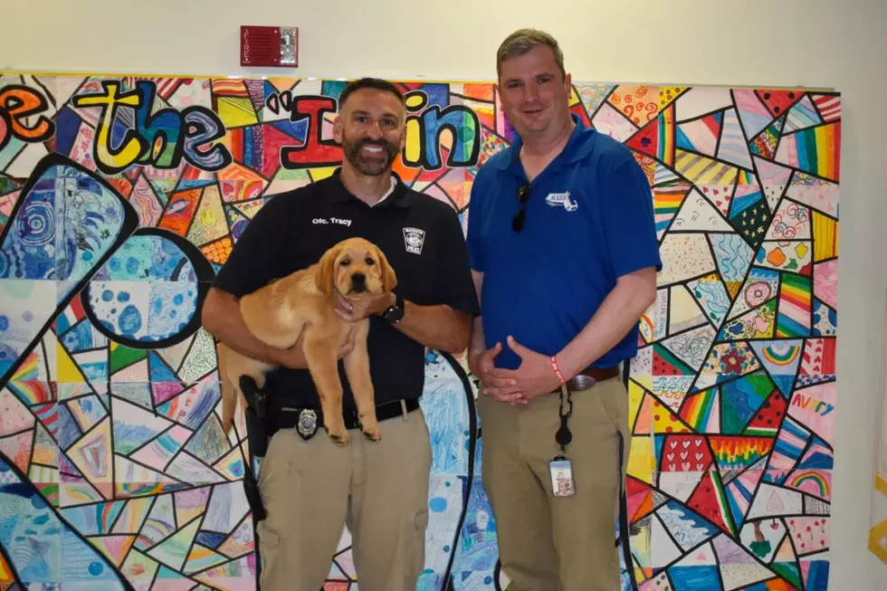 Marion’s Sippican Elementary School Welcomes New Comfort Dog for Students