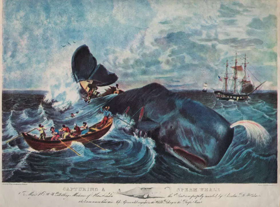New Bedford Lost 22 Whaleships in the Whaling Disaster of 1871