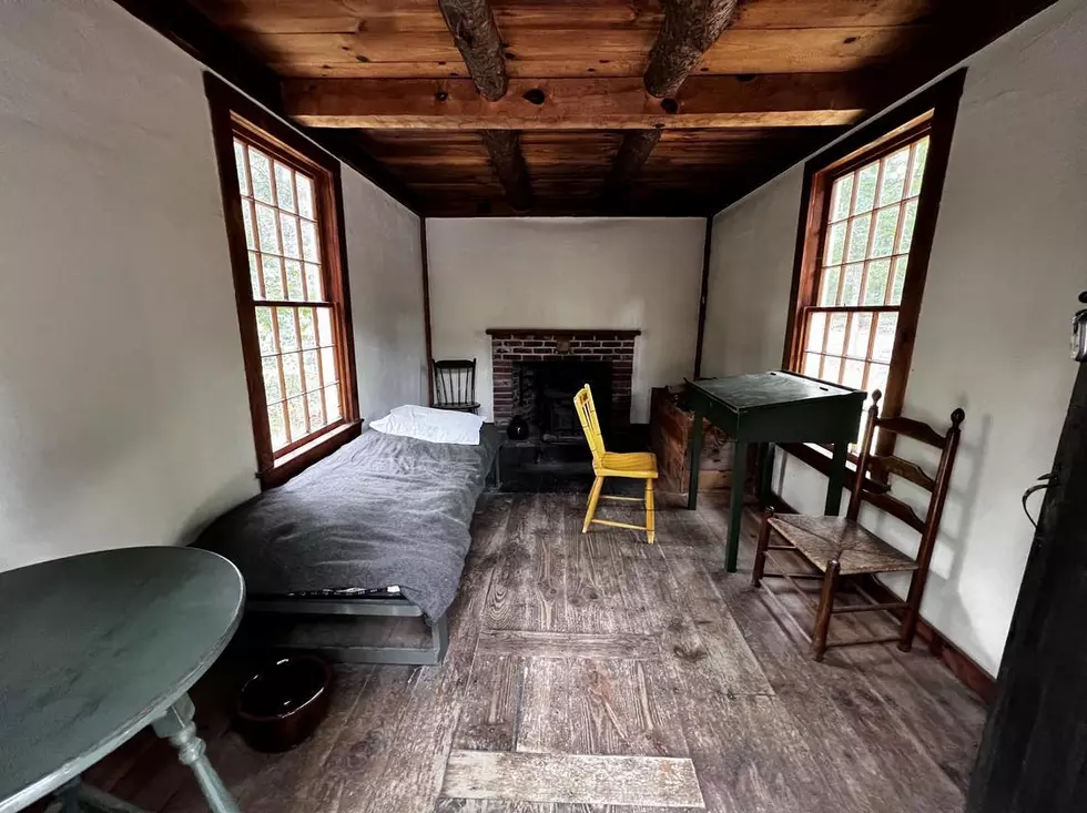 Connection Between New Bedford's Brooklawn Park and Walden Pond