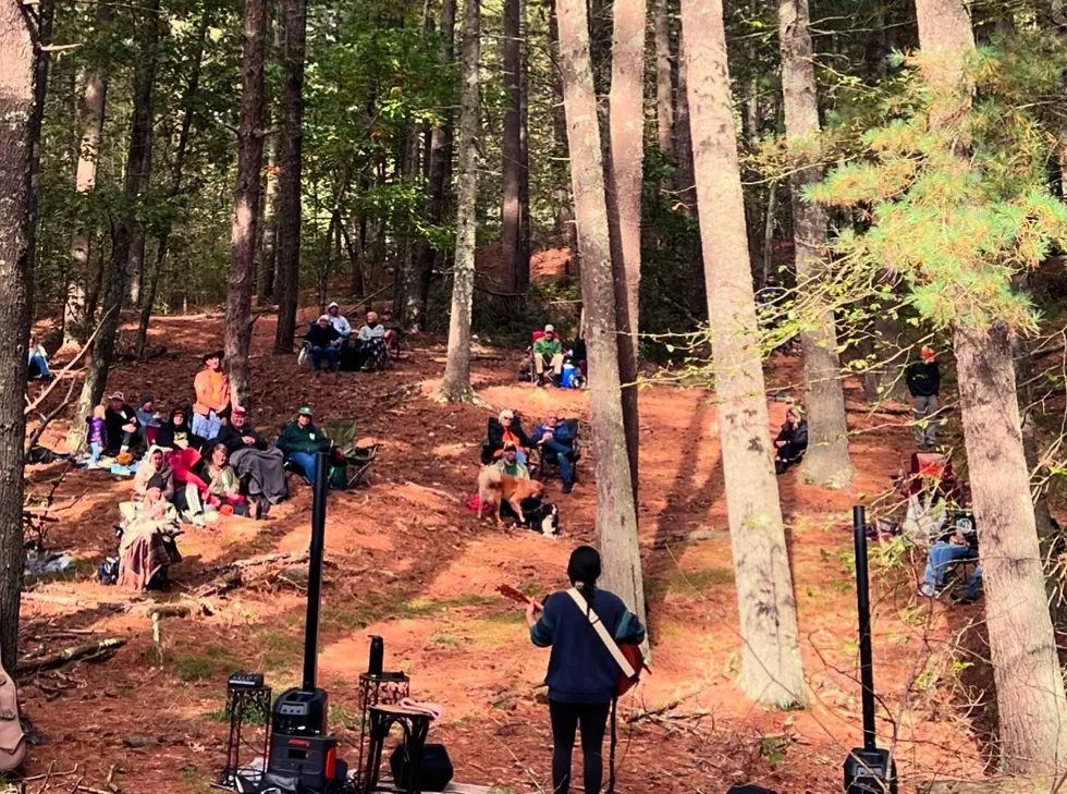 Dartmouth Natural Resources Trust to Host Music in the Woods