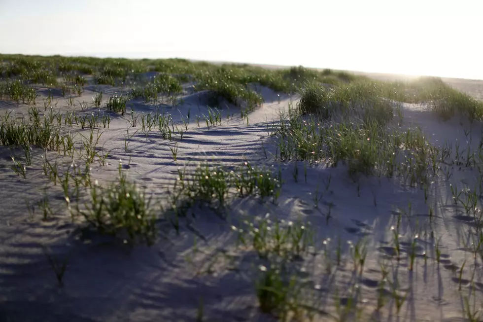 Provincetown Was Terrorized By A "Ghoulish Phantom"