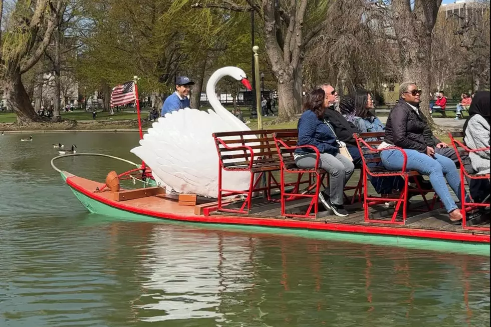 Here's What Happens To Boston's Swan Boats During The Off Season