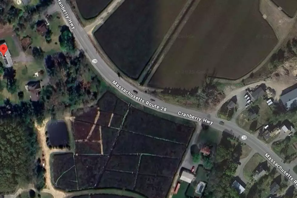 Google Maps