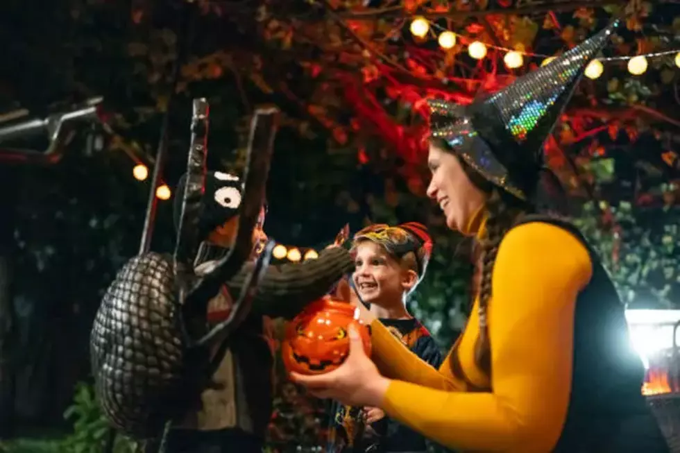 Dress Up & Dance: AHA! Night Brings Halloween Spirit to New Bedford