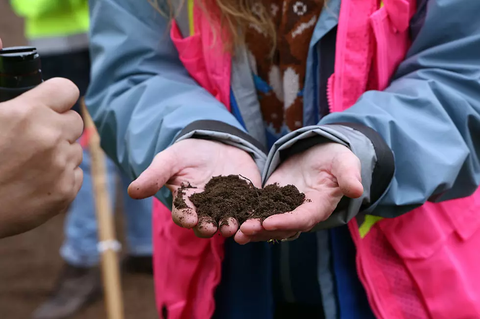 A Maine School District Just Accidentally Served Baked Dirt for Dessert