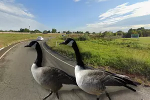 These Unapologetic Roadblockers Are Taking Over a Busy New Bedford On-Ramp