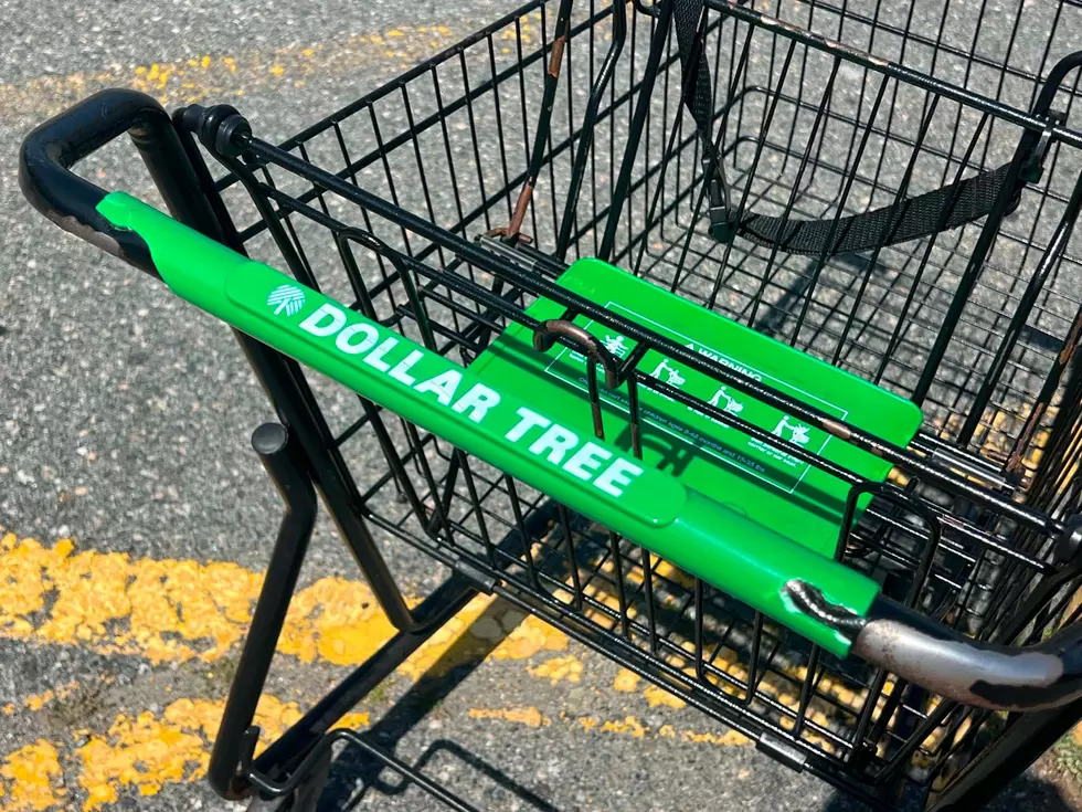 Some Massachusetts Dollar Tree Locations Could Close This Year