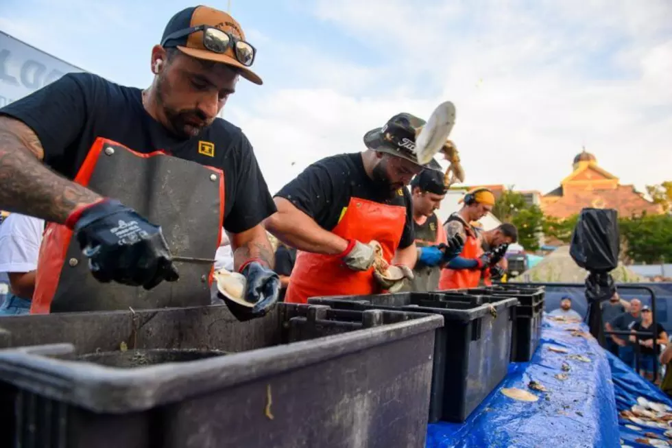 Scallopalooza Features Exciting Shucking Contest in New Bedford