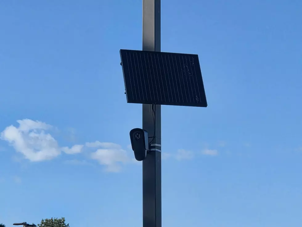 Rochester Police Chief Speaks Out After Town Votes to Turn Off Flock Cameras