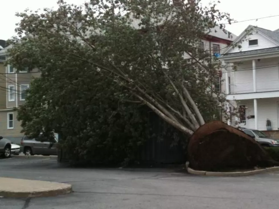Sandy:  Send Us Your Storm Related Pics Here