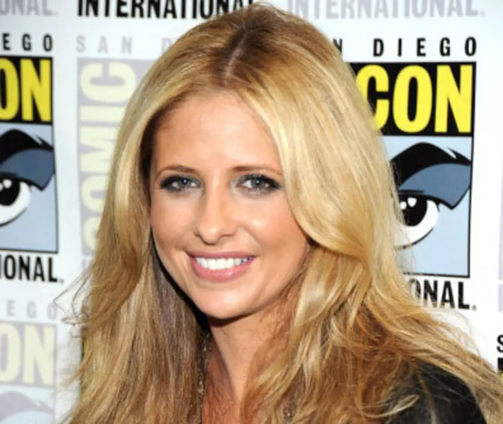 ‘Buffy’ Star Sarah Michelle Gellar Looks To TV Return