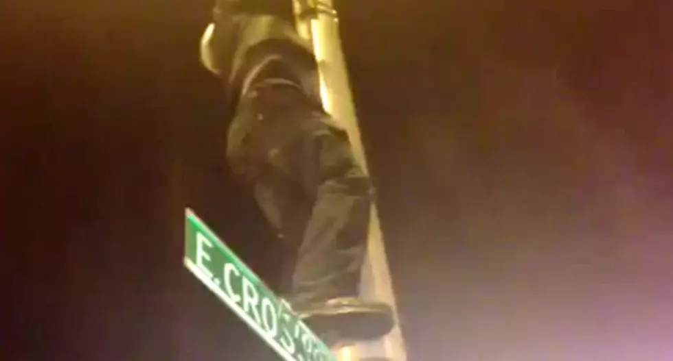 Baltimore Ravens Fan Learns Why It&#8217;s Not a Good Idea to Climb a Street Sign