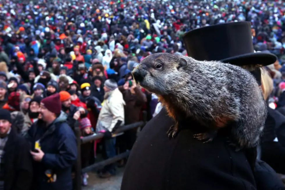 Where Is The Early Spring Punxsutawney Phil? [AUDIO]