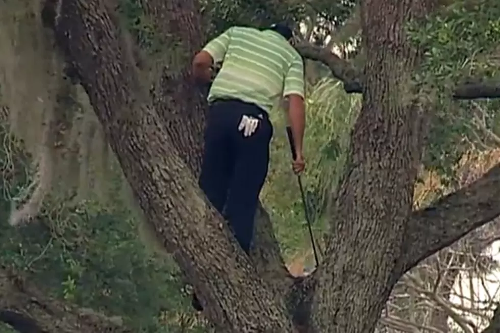 PGA Tour Golfer Sergio Garcia Climbs A Tree To Hit One-Handed Second Shot [VIDEO]
