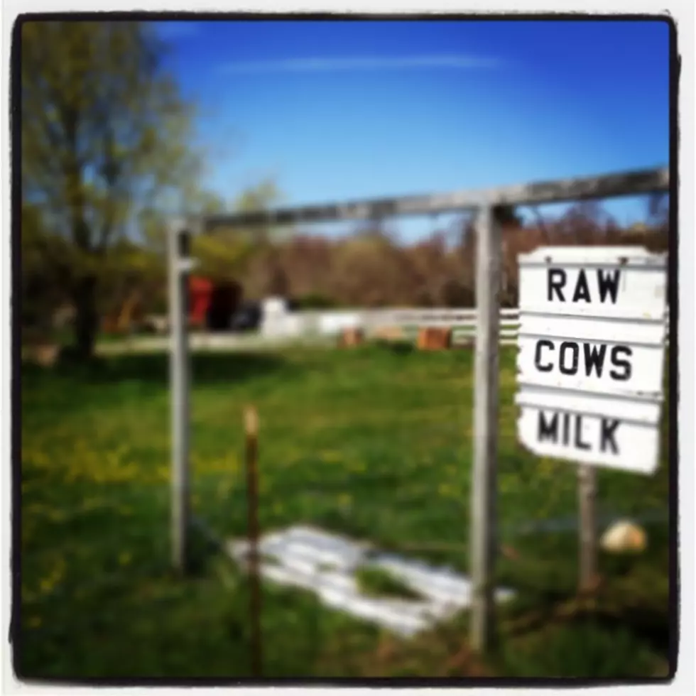 Raw Milk:  Would You Drink It?  [POLL]