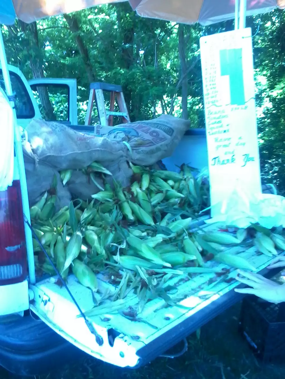 Got Corn? Fairhaven Has Plenty