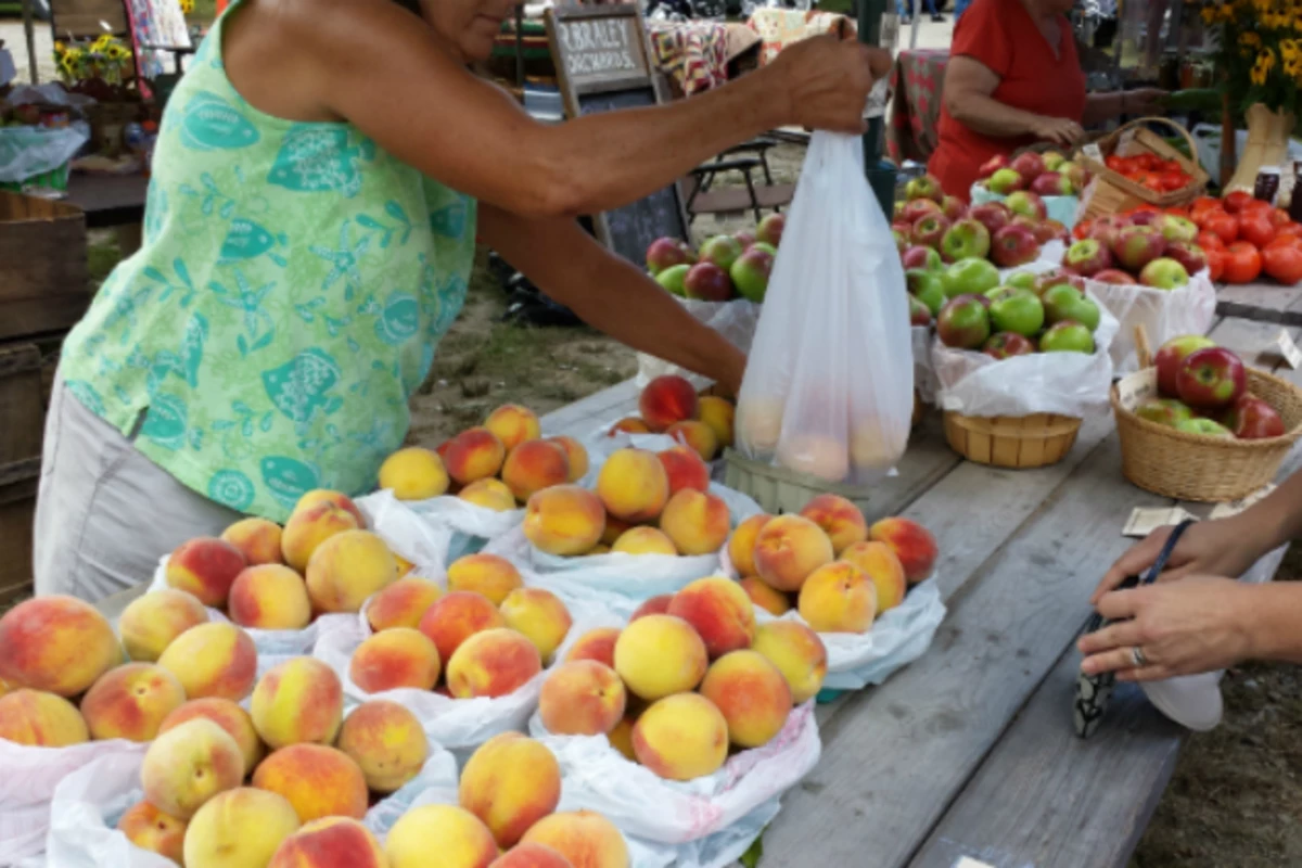 Great Time At The Apple Peach Festival On Sunday [PICS]