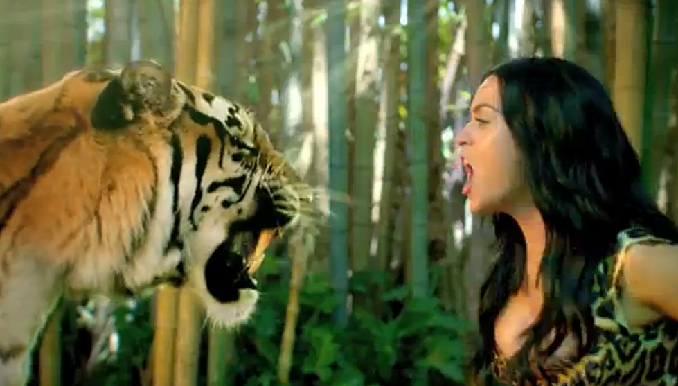 PETA Not Happy With Katy Perry For Use of Animals in &#8216;Roar&#8217;