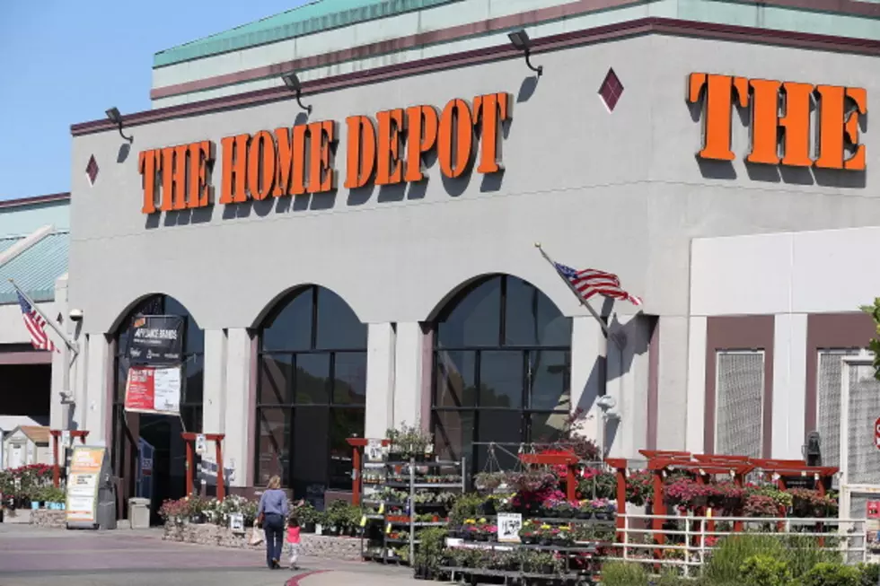Kitty Makes Her Home At The Depot