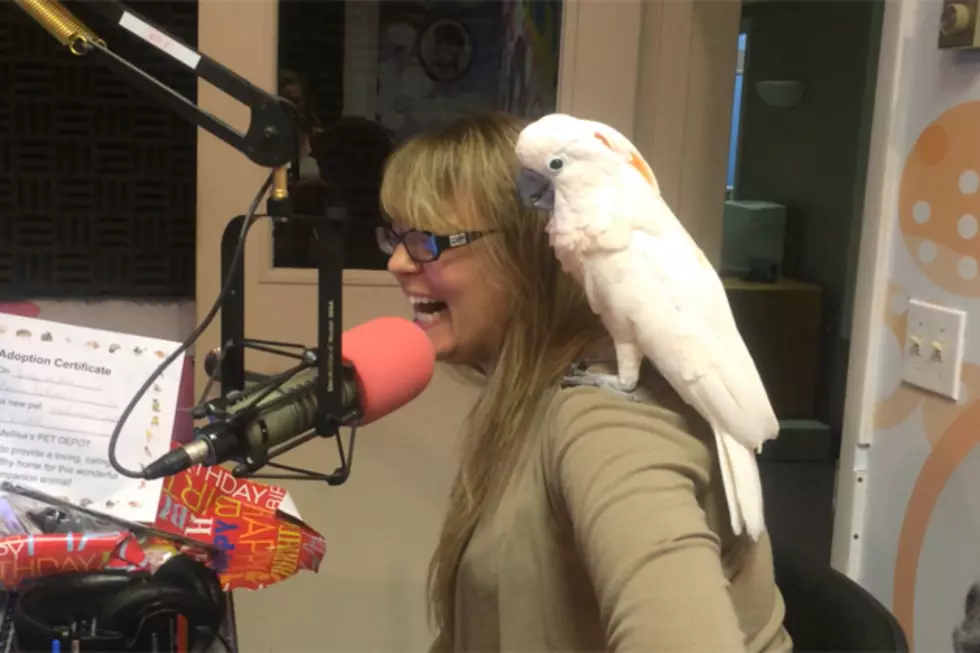 Loren Gets The Bird? [VIDEO]