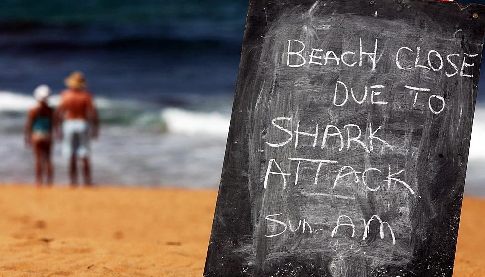 Sharks Are More Likely To Attack Men Than Women