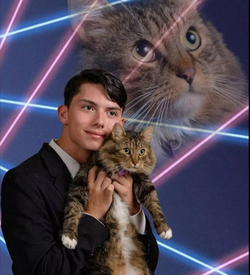 Student Petitions School to Let Him Use Cat and Laser Themed Picture in the Yearbook