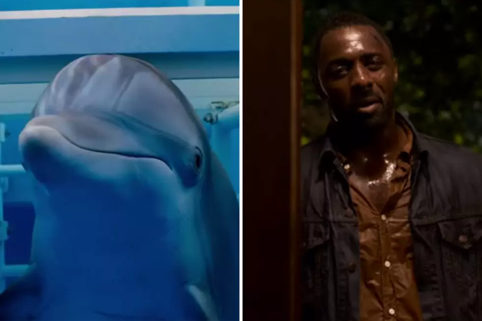 &#8220;Dolphin Tale 2&#8243; and &#8220;No Good Deed&#8221; Movie Review From Willie Waffle [AUDIO]