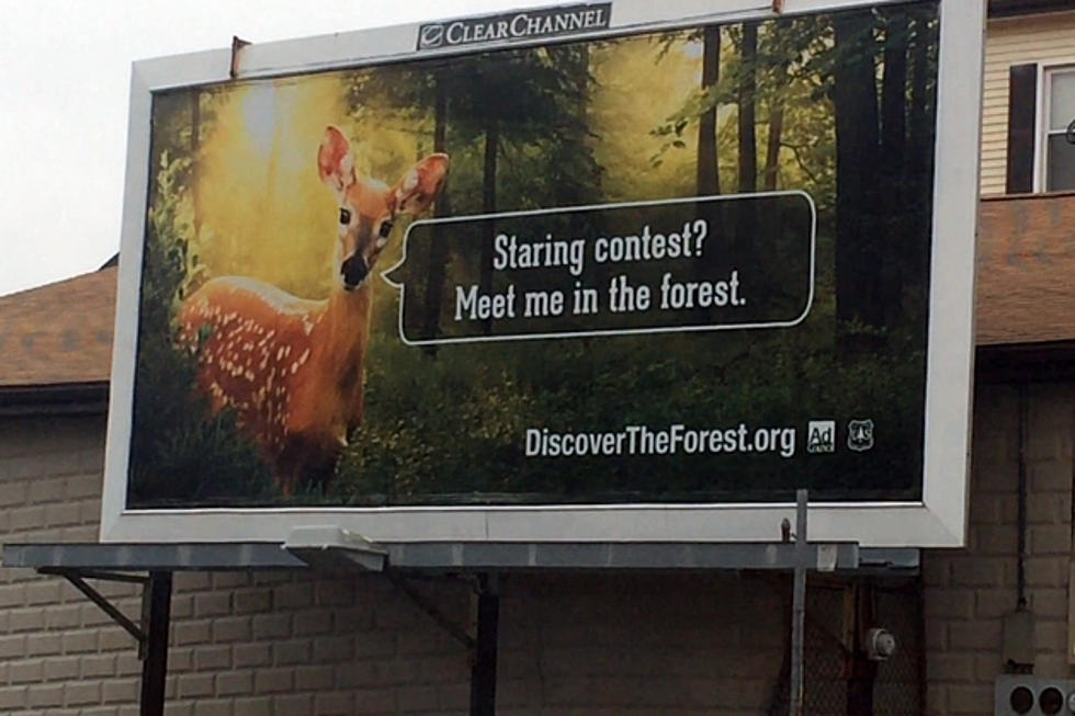 Deer Billboard Seen Near Barber Shop Where Deer Was Found On Rivet Street Is A Little Creepy