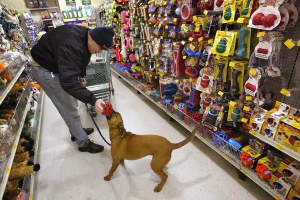 PetSmart Plans To Open Their First Greater Fall River Location