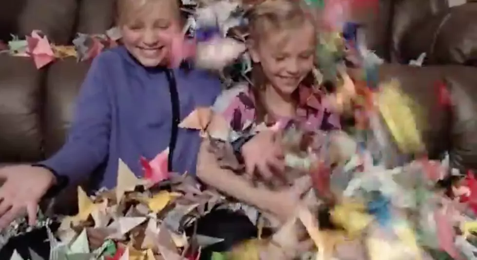 Two Sisters Make 1,989 Paper Cranes For Taylor Swift’s Mom