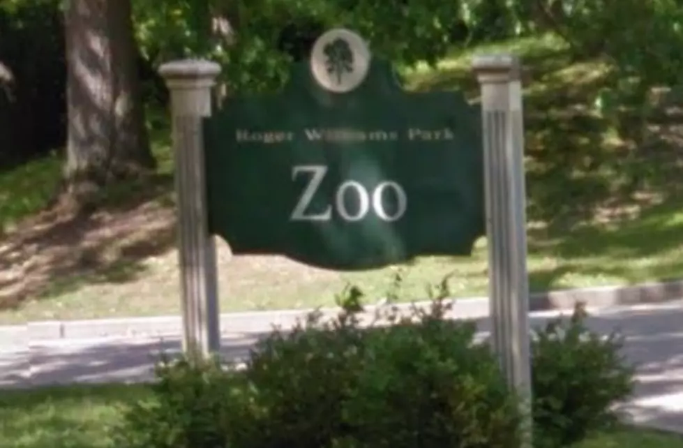 New Animals And Exhibits Coming To Roger Williams Park Zoo