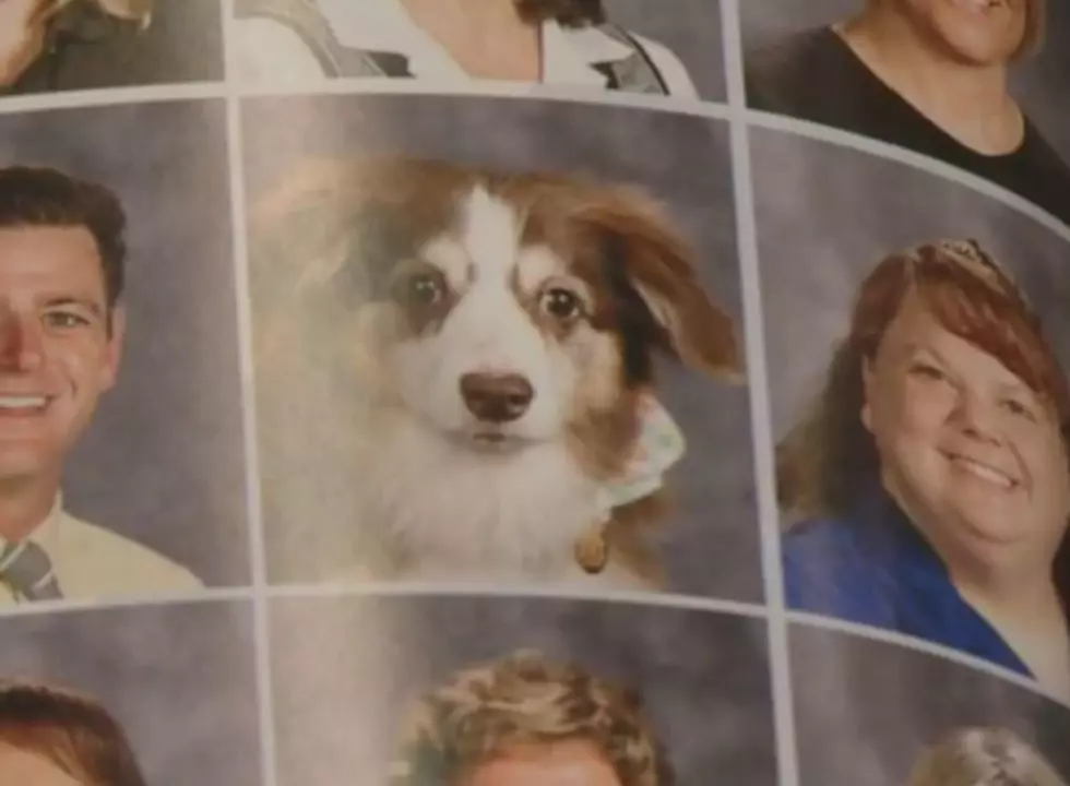 Service Dogs Get Their Own Photos In High School Yearbook