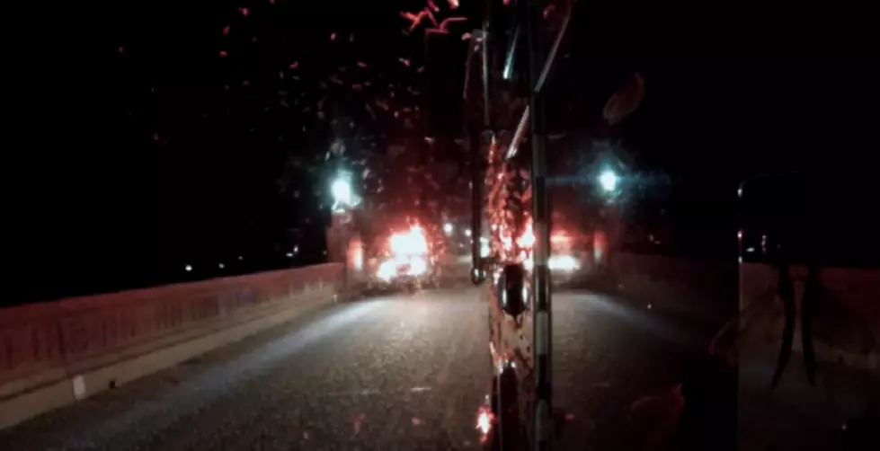 Mayfly Swarm Looks More Like A Winter Blizzard [VIDEO]