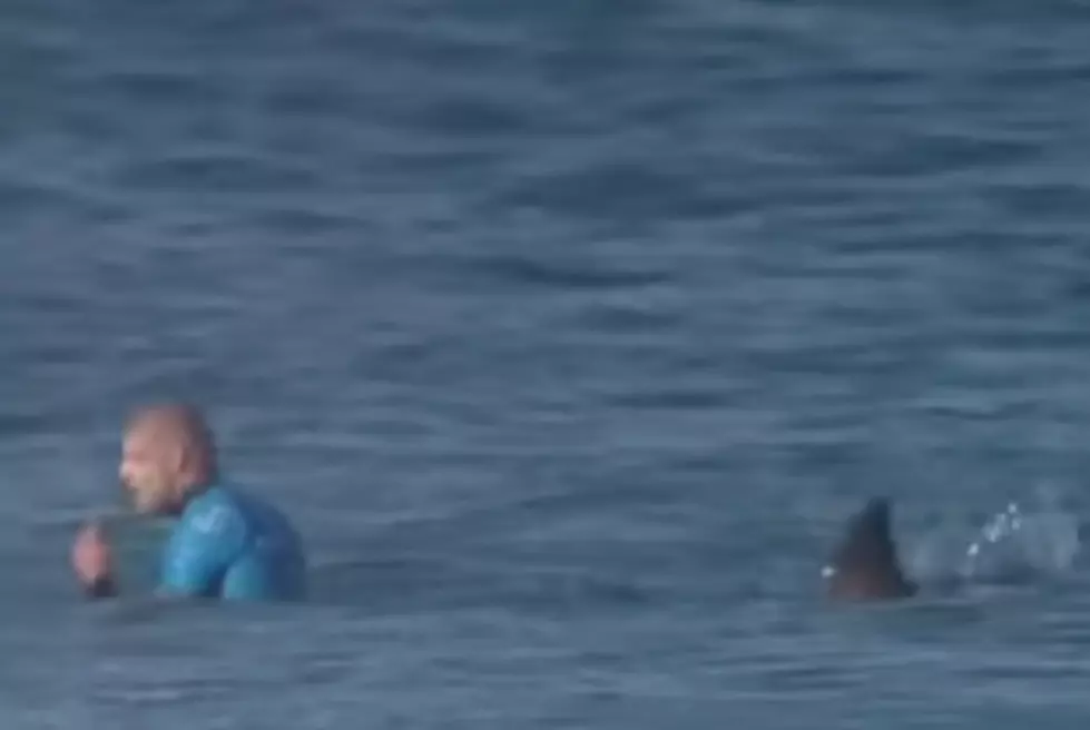 Surfer Attacked By Shark At Competition