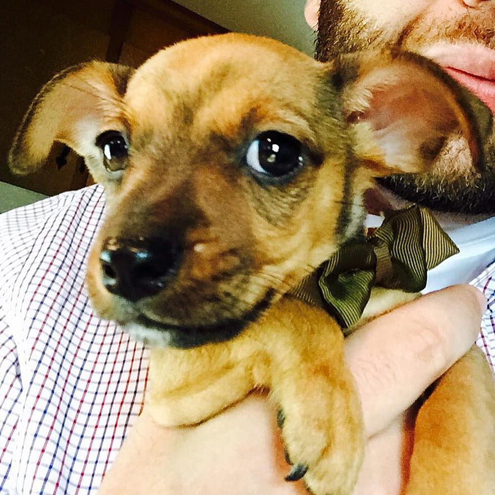 Loren’s Family Expands With The Addition Of A Puppy