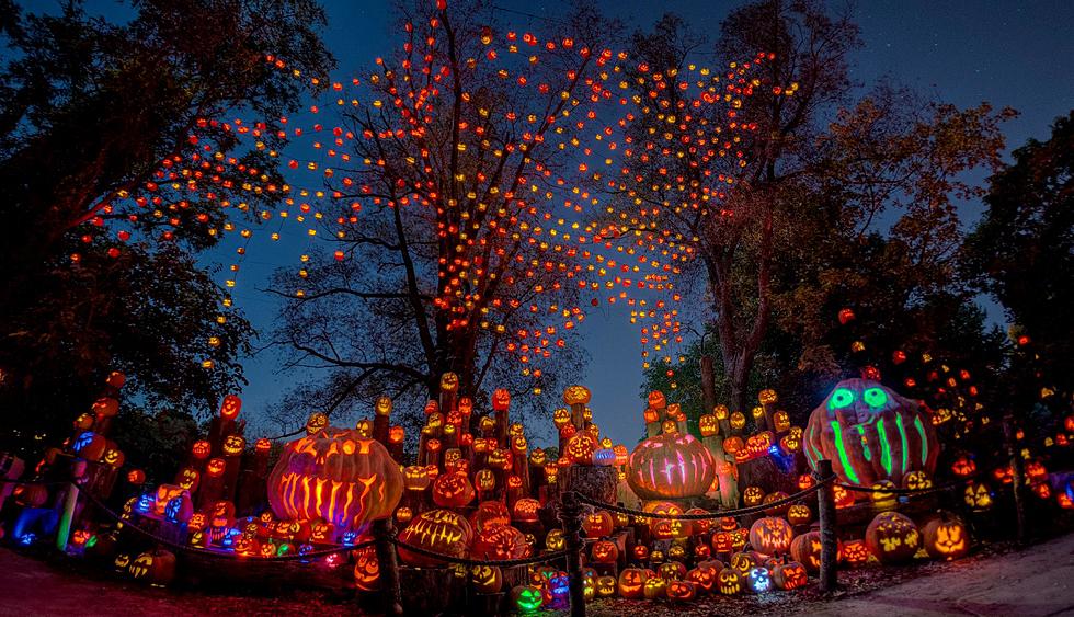 Roger Williams Zoo Won't Be Canceling Its Halloween Spectacular