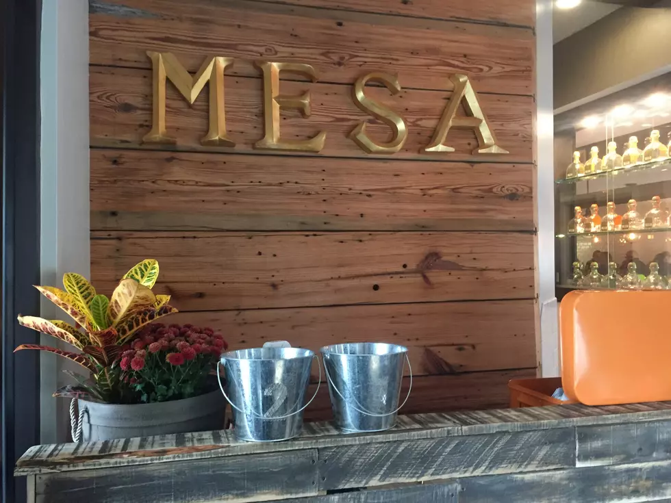 Same Amazing Food, Brand New Look at Mesa 21 [GALLERY]