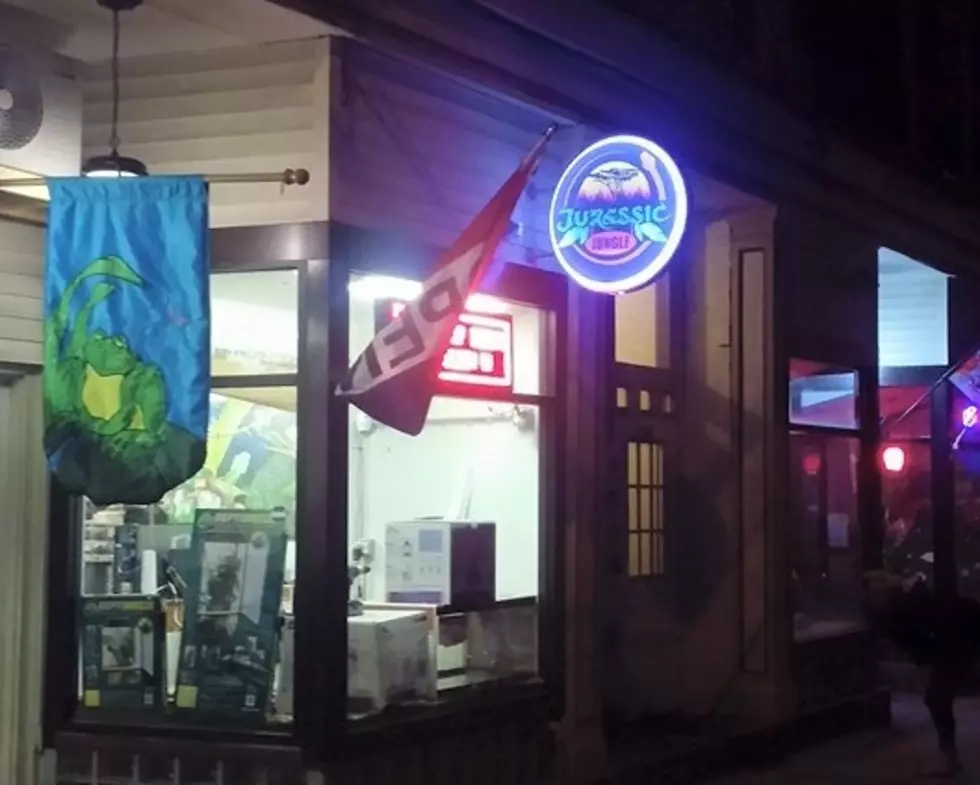 3 Hospitalized After Fight at Jurassic Jungle In Fall River