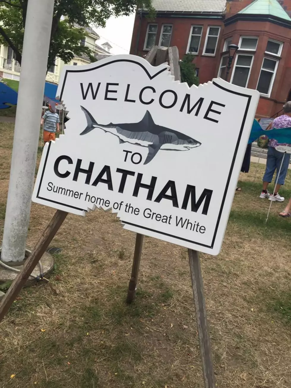 Great White Caught Off Chatham