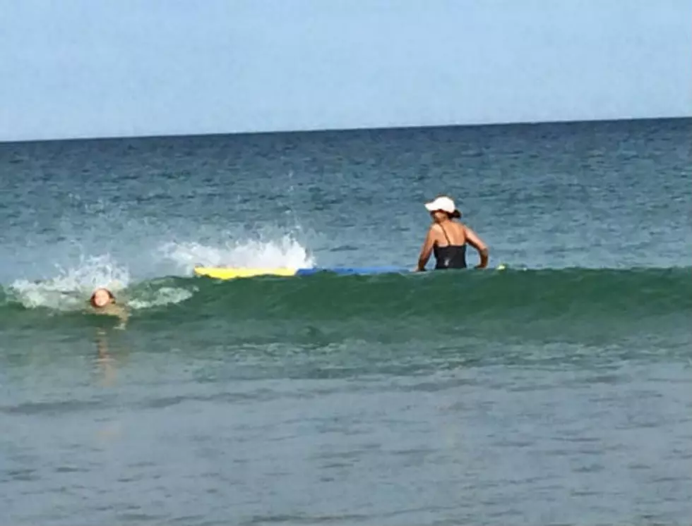 Shark Sighting at Duxbury Beach