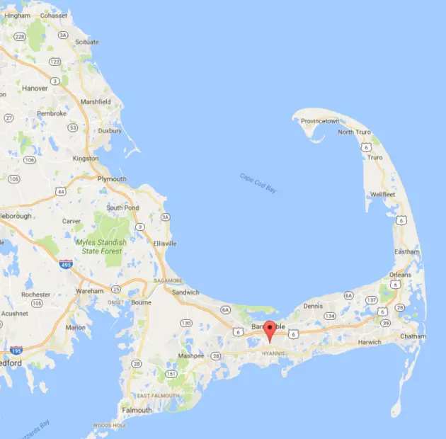 More Great White Shark Sightings on Cape Cod