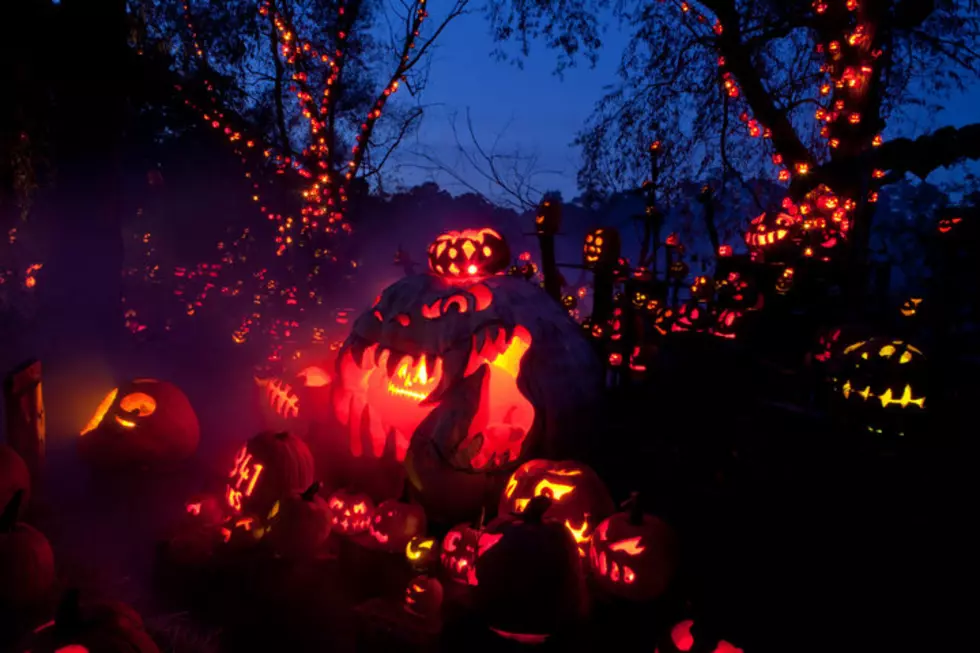 Jack-O-Lantern Spectacular Has Timed Entry Tickets Now