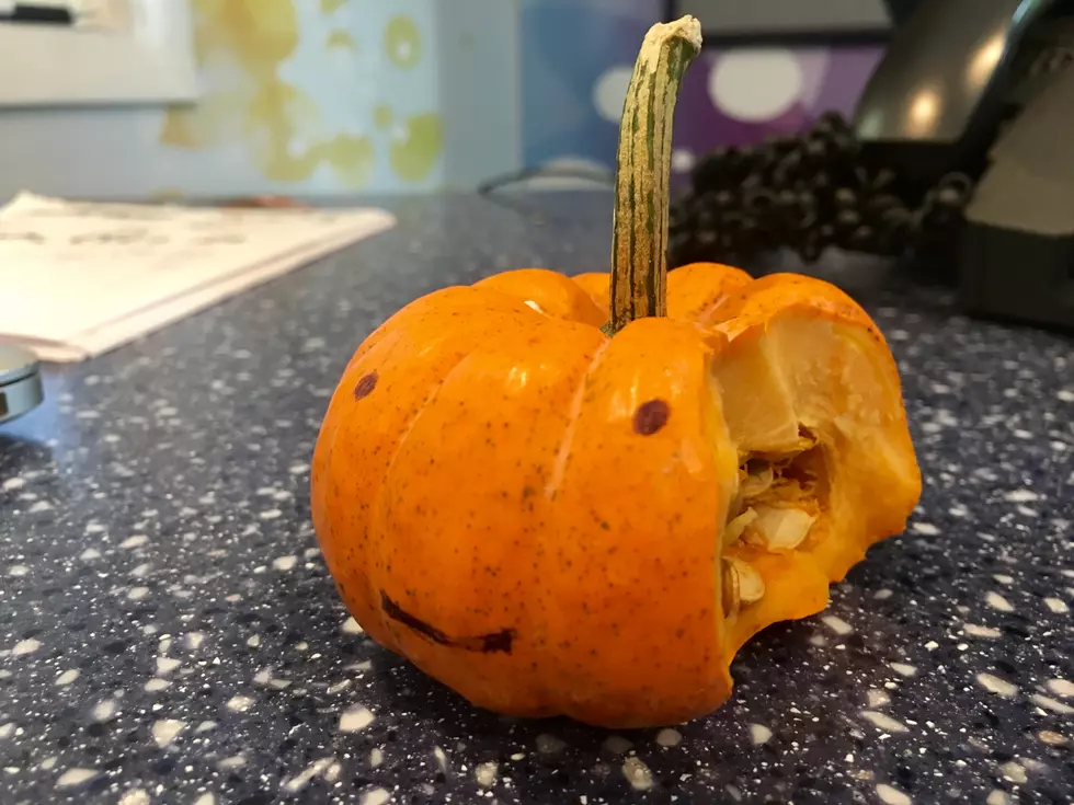 Pumpkins Are NOT Apples