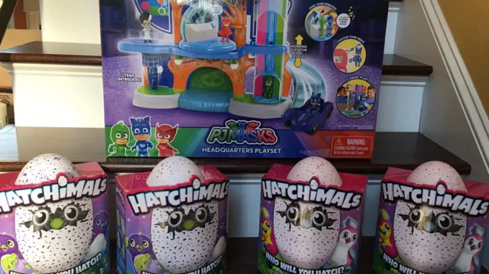 How Hatchimals Are Helping to Raise Money for United Way&#8217;s Holiday Wish