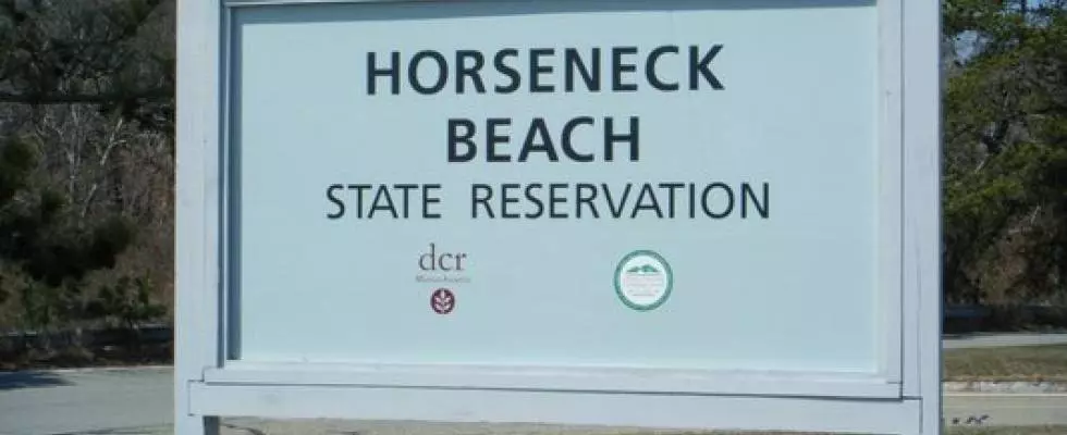 Horseneck and Westport Town Beaches Closed Today