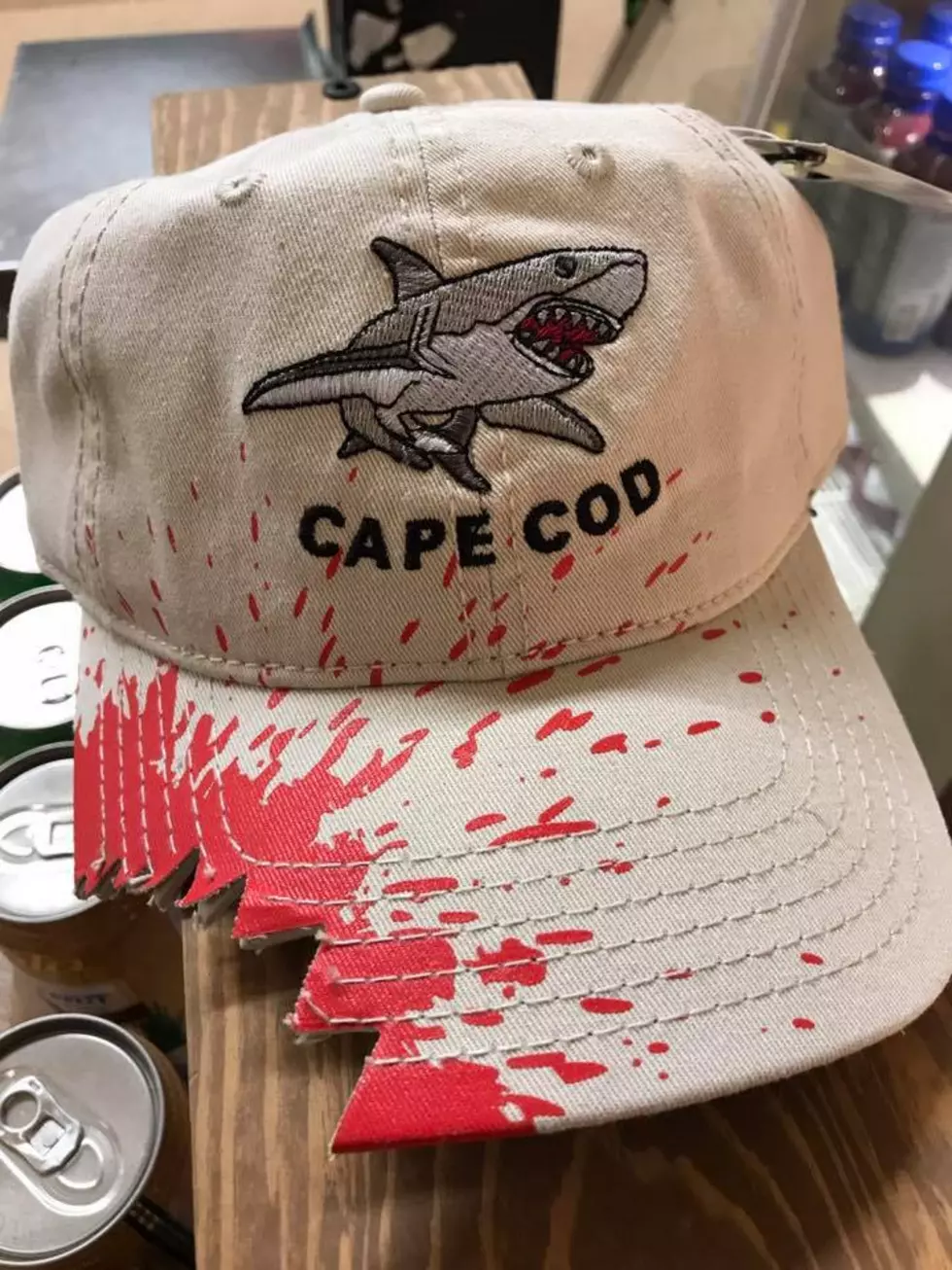 Cape Cod Beach Pulls People From Water Due to Shark