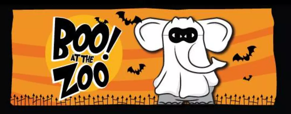 Boo at the Zoo 2017